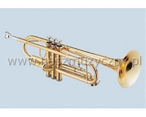 JUPITER JTR-308 (L) - Trbka lakierowana 