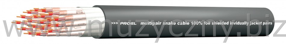 PROEL CMN16 - Kabel audio wieloparowy _