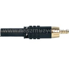 PROEL MRCA25BK - RCA wtyk męski _
