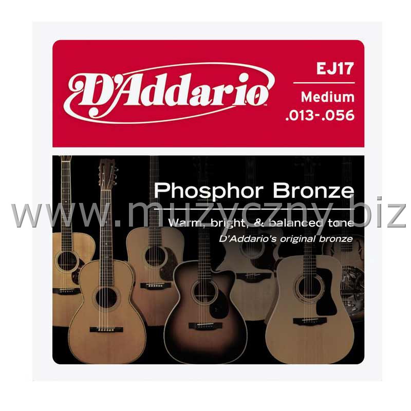 D'ADDARIO EJ17 - Struny do akustyka (13-56) _