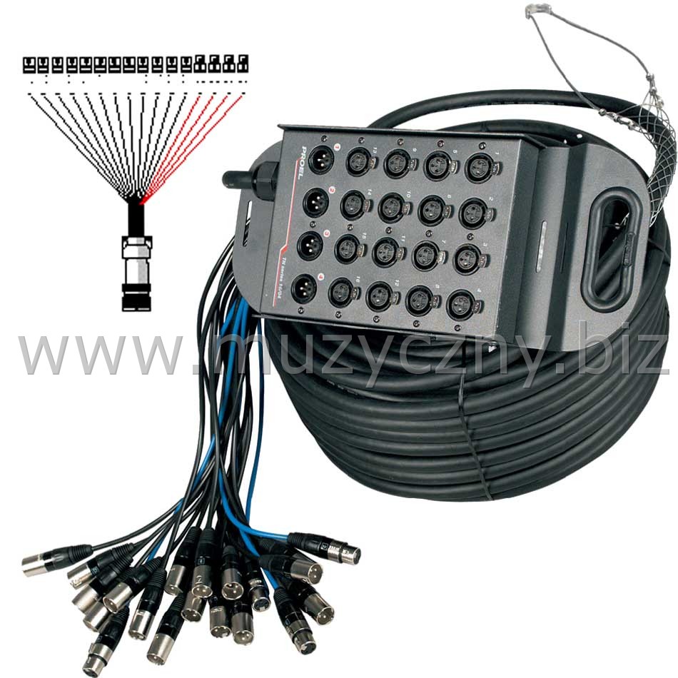 PROEL TN1204LU50-Nowoczesny płaski stagebox _