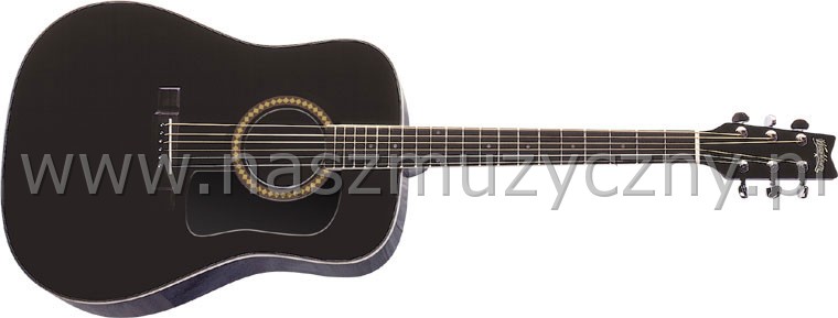WASHBURN D 10 S (B) - Gitara akustyczna _